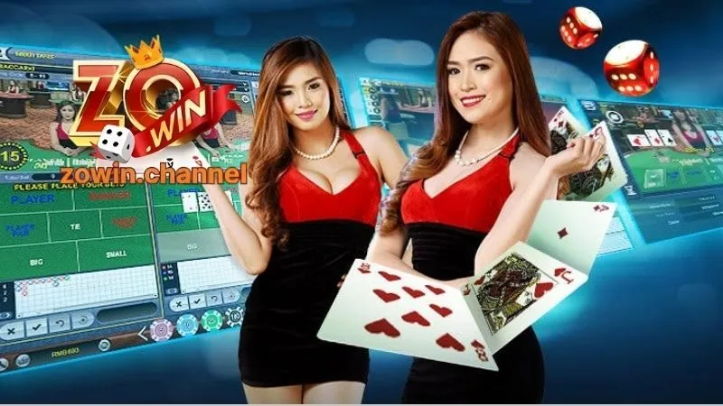 Giới thiệu chung về chúng tôi - Zowin